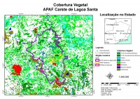 /album/mapas/cobertura-vegetal-jpg/